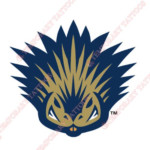 ScrantonWilkes-Barre Customize Temporary Tattoos Stickers NO.8013